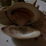 ARBOL - ハマグリ　アップ。