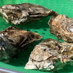 海の公園かき小屋 - 牡蠣はとにかく新鮮で大振りでした。