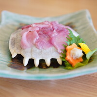 料亭 やまさ旅館 - すっぽん刺し