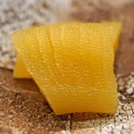 日本橋蛎殻町 すぎた - 数の子の味噌漬け