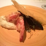 Wattle Tokyo - アップ