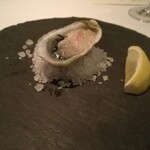 Wattle Tokyo - アップ