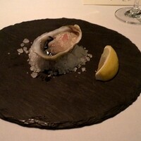 Wattle Tokyo - タスマニア産オイスター