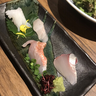 でぶろく魚類_1