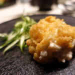 TACUBO - 白子/プンタレッタ