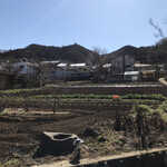 Cafe Restaurant Shu - 