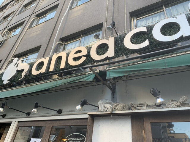 Anea Cafe 中野新橋店 アネアカフェ 中野新橋 カフェ 食べログ Anea Cafe 中野新橋店 アネアカフェ 中野新橋 カフェ 食べログ