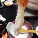 てり吉 - 美しく花咲きます