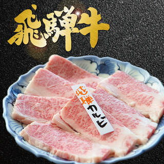 [Selected by craftsmen] Special Hida beef