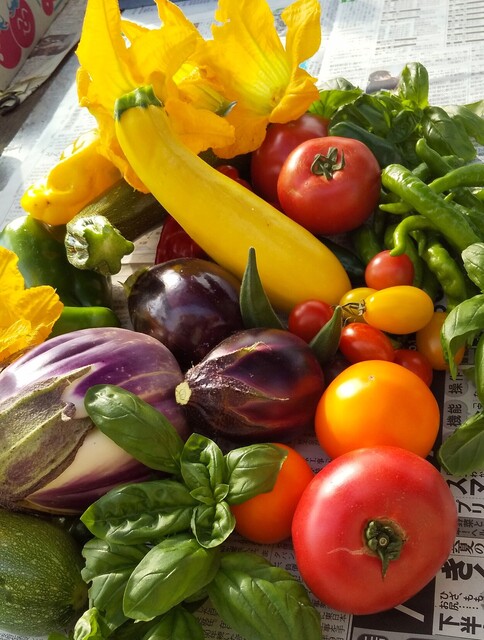 FARM CAFE orta（ファームカフェオルタ） - 十和田市（カフェ）の写真