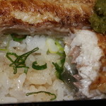 鰻 小林 - 白焼き 断面アップ
