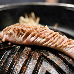 なまらむーちょ - タン