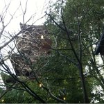 イル ギオットーネ - 