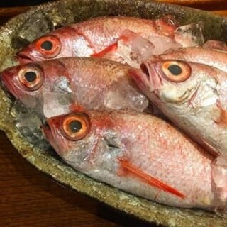 White-fleshed king dogfish, integrated production of Akagi Wagyu beef, and Hinai chicken, one of Japan's three major local chickens.