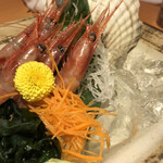 まるごと北海道 花の舞 - 