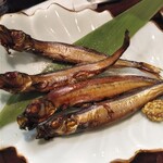 谷町 わらかし - 