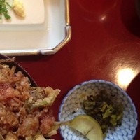 高瀬 - かき揚げ丼