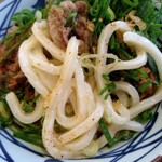 Marugame Seimen - 