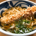 本格手打ちうどん まごころ - ちく天うどん