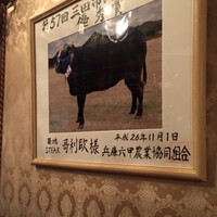 哥利歐 - 