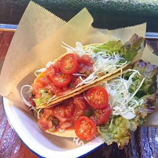 BLUE FISH AQUARIUM_1