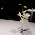 レフェルヴェソンス - 