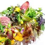 レフェルヴェソンス - 