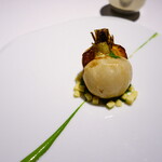 レフェルヴェソンス - 