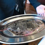 ウシマル - ピッチピチのホシガレイ！