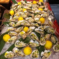 ゼックスウエスト サルヴァトーレ クオモブロス - 