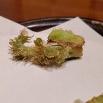 Akita Tempura Mikawa - 