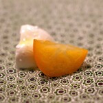 Hasegawa Minoru - 宮崎県産の ”陽だまりの雫” と云う金柑のローストと木更津産のモッツァレラチーズ