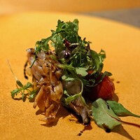 長谷川 稔 - 湘南産の赤甘鯛