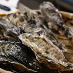 浜焼き 能登風土 - 殻付き牡蛎（10個）