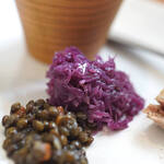 オクサリス - 【先附（アントレ）之一】、フラマンふう紫甘藍（むらさきはぼたん）