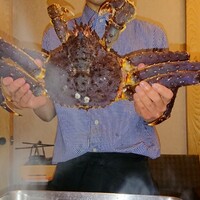活カニの花咲 - 特大タラバ蟹