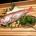 のどぐろ専門 銀座中俣 はなれ - 