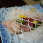 Aoki Zushi - 