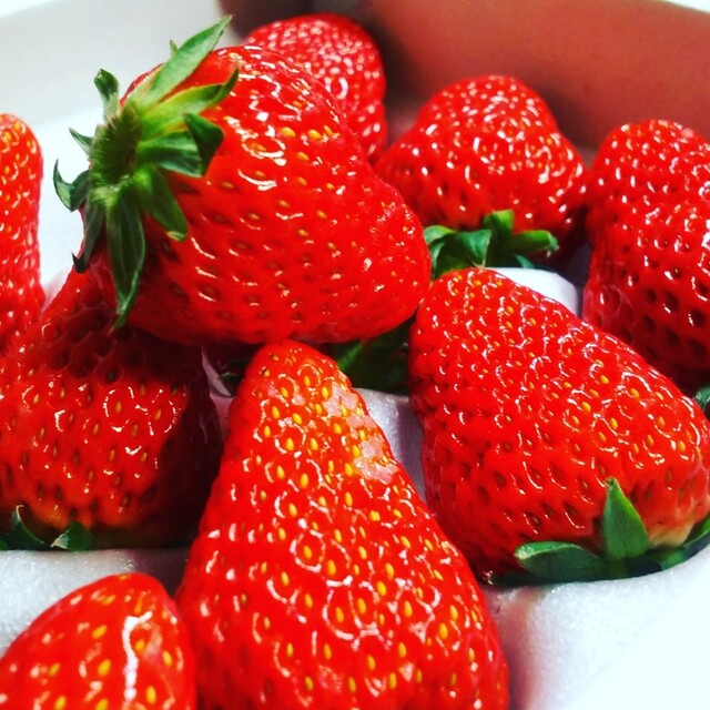 丸高いちご園 - 成田空港/その他 | 食べログ