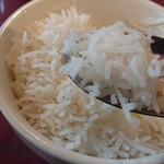 ベンガルタイガー - 