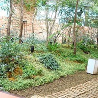 フレンチレストラン にき亭 そごう横浜店 - s-2007-07-20_12-10-33(1).jpg