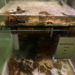 Warung Laota Jimbaran - 蟹