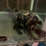 Warung Laota Jimbaran - ハタ