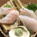 ゆず地鶏 魚介専門店 かん家 - 刺身。ヤガラとフエフキ。かん家(滋賀県近江八幡市)食彩品館.jp撮影