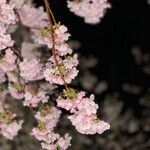 田舎料理おかりば - 