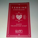 ルーテシア - いろんな説明