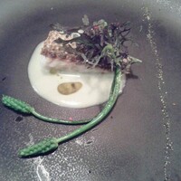 Le Salon de Legumes - 