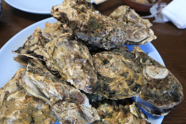 海鮮料理 磯 かいせんりょうり いそ 日生 魚介料理 海鮮料理 食べログ