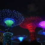 MARINA BAY SANDS - ガーデンラプソディ