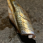 寿し おおはた - 